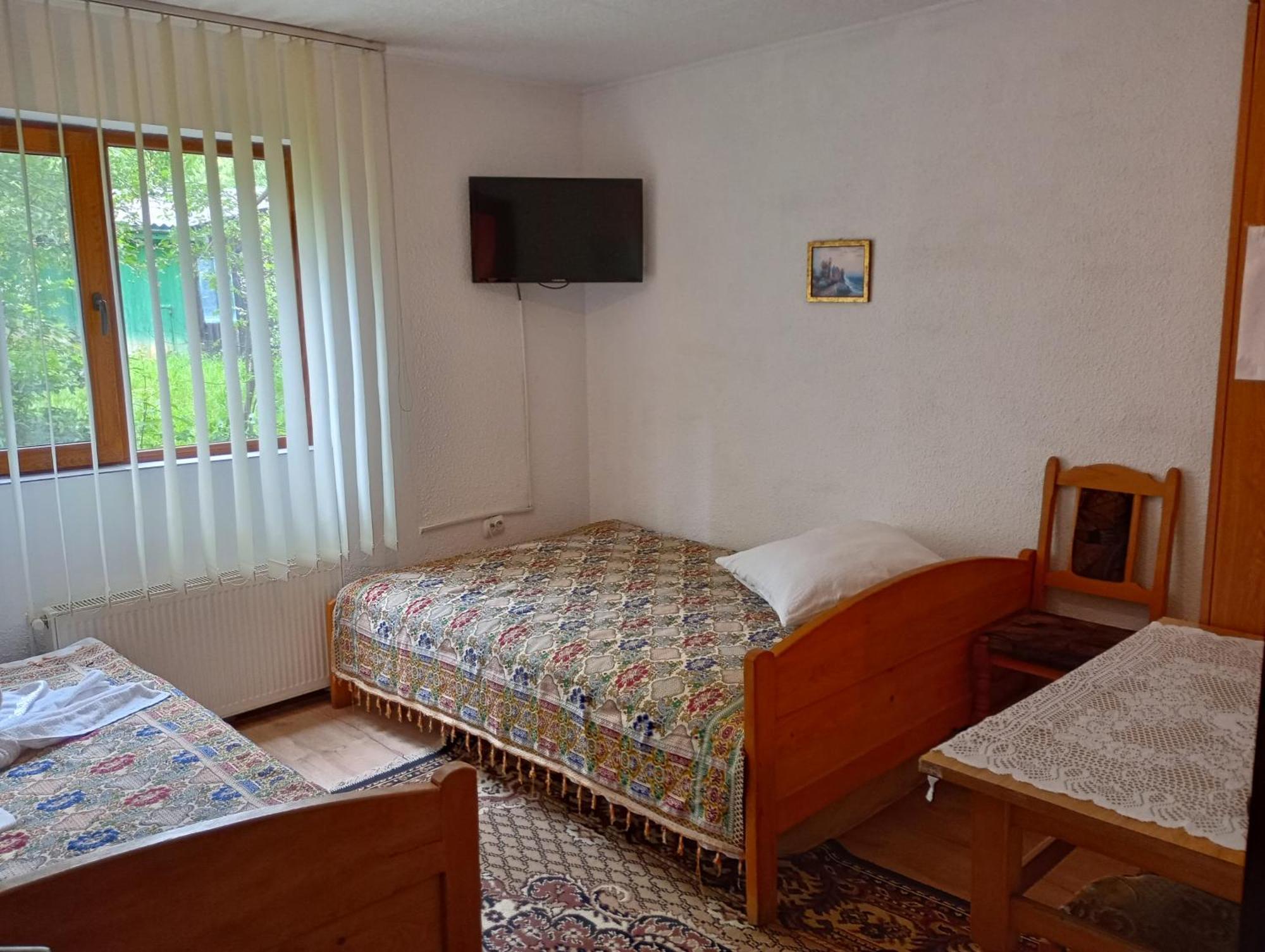Pensiunea Irina 1 Si 2 Zarnesti Exterior photo