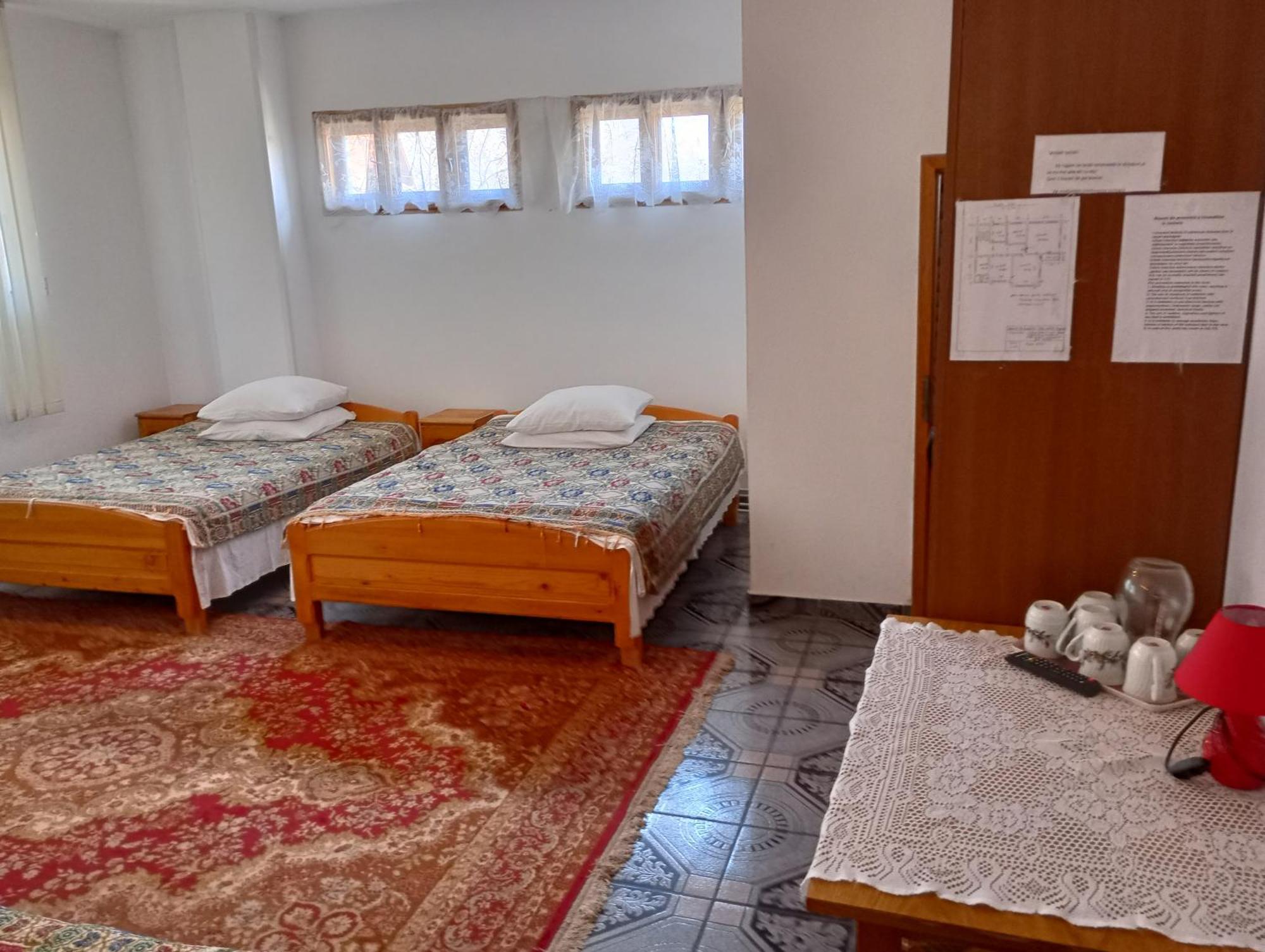Pensiunea Irina 1 Si 2 Zarnesti Exterior photo