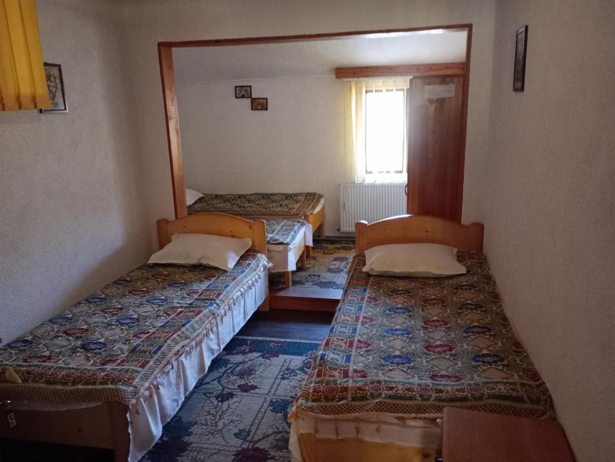 Pensiunea Irina 1 Si 2 Zarnesti Exterior photo