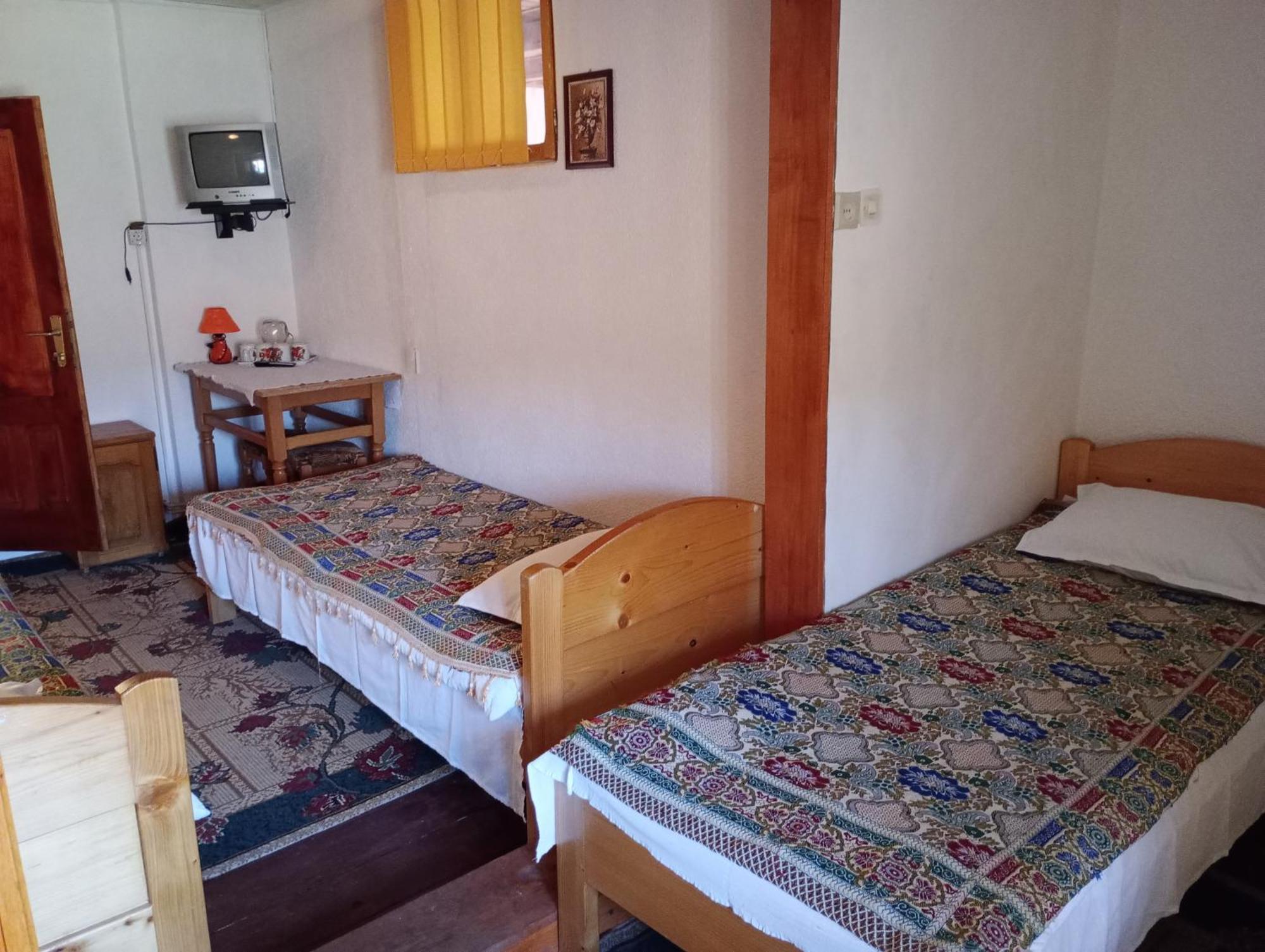 Pensiunea Irina 1 Si 2 Zarnesti Exterior photo