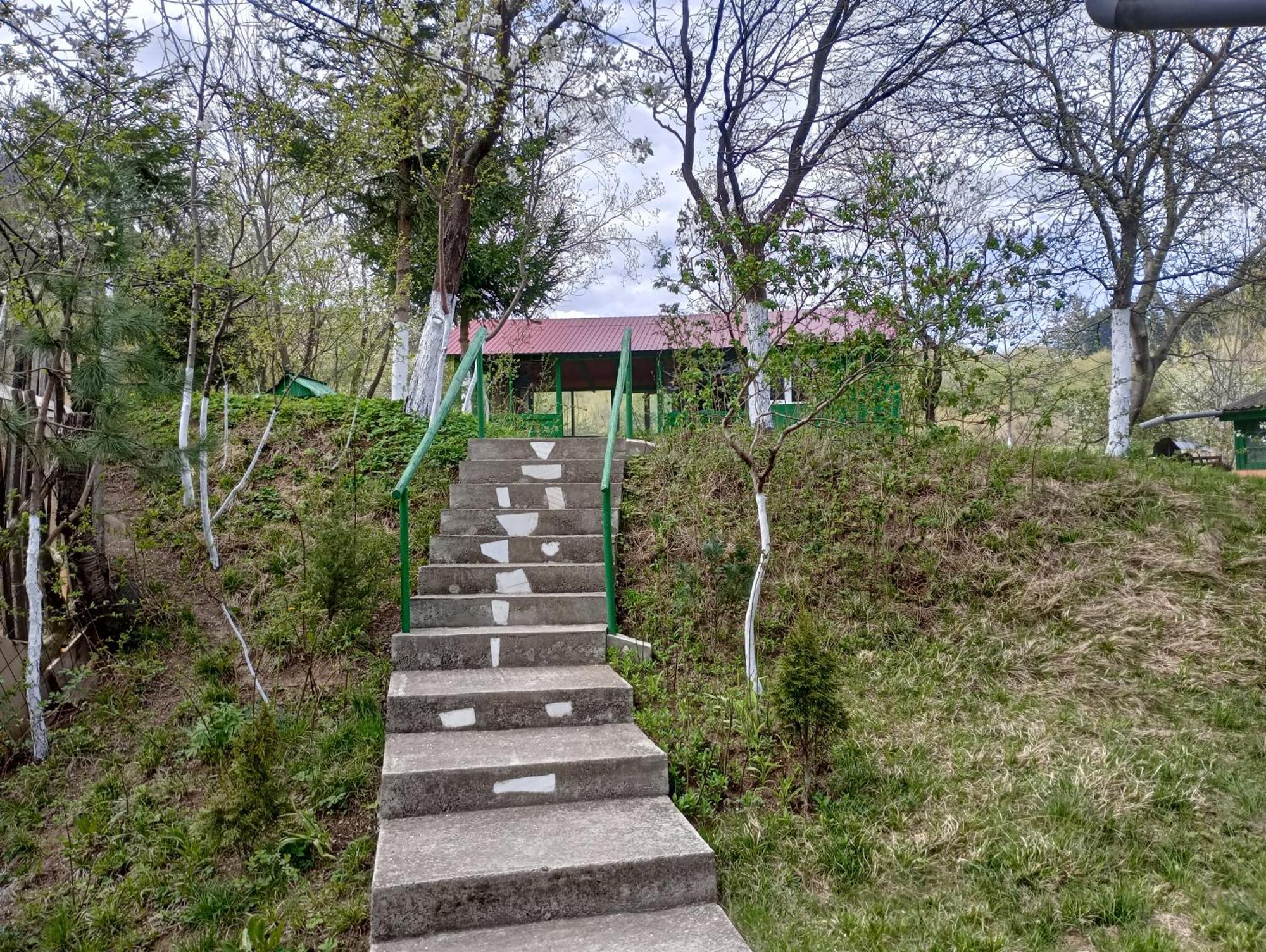Pensiunea Irina 1 Si 2 Zarnesti Exterior photo