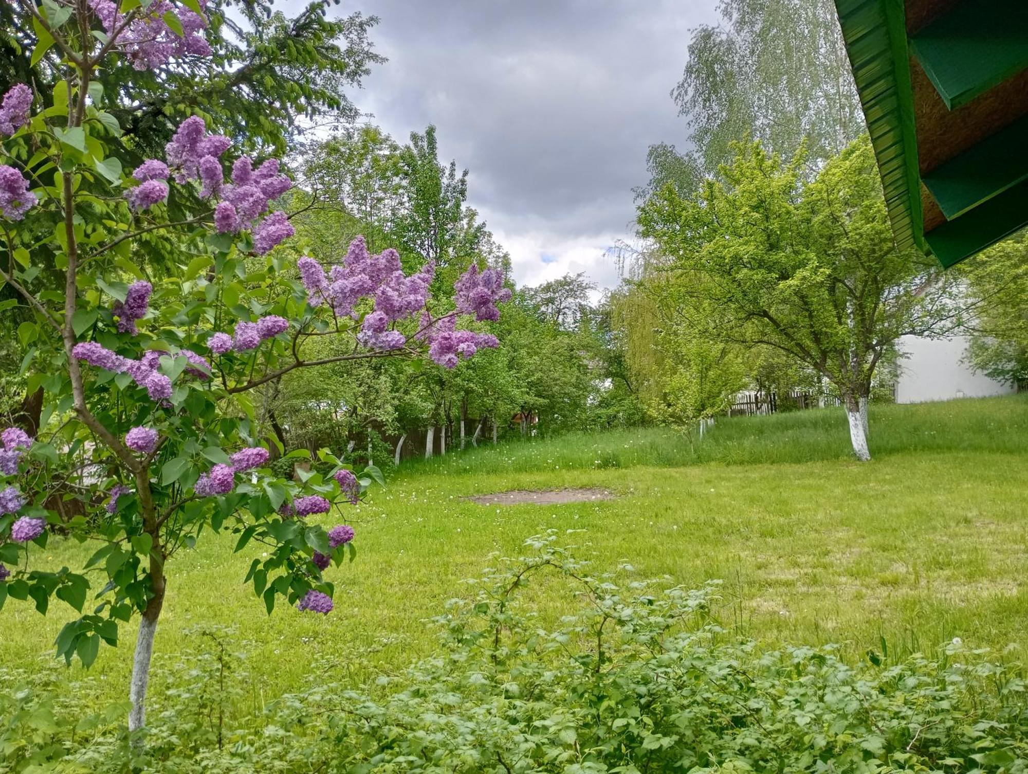 Pensiunea Irina 1 Si 2 Zarnesti Exterior photo
