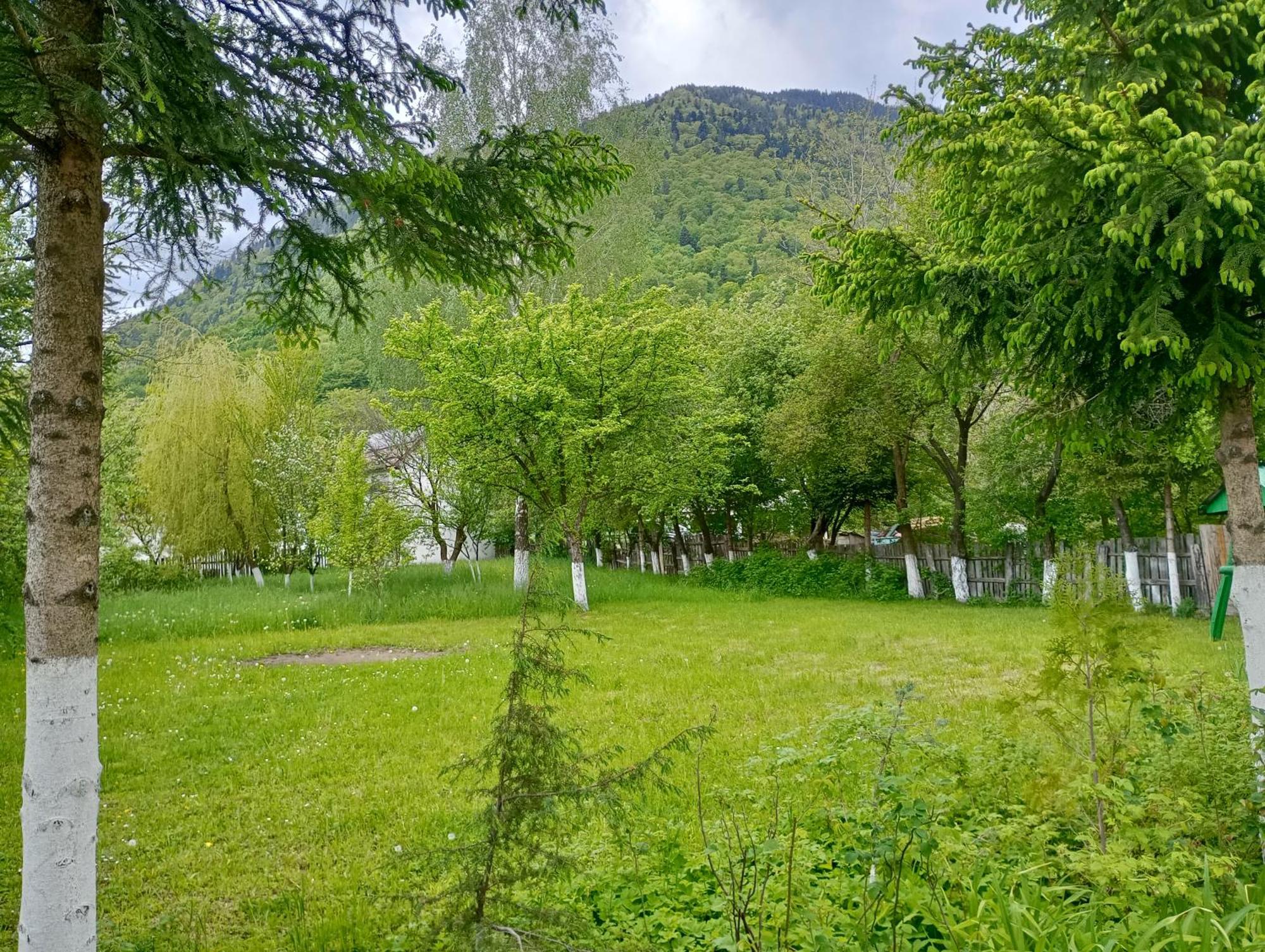 Pensiunea Irina 1 Si 2 Zarnesti Exterior photo
